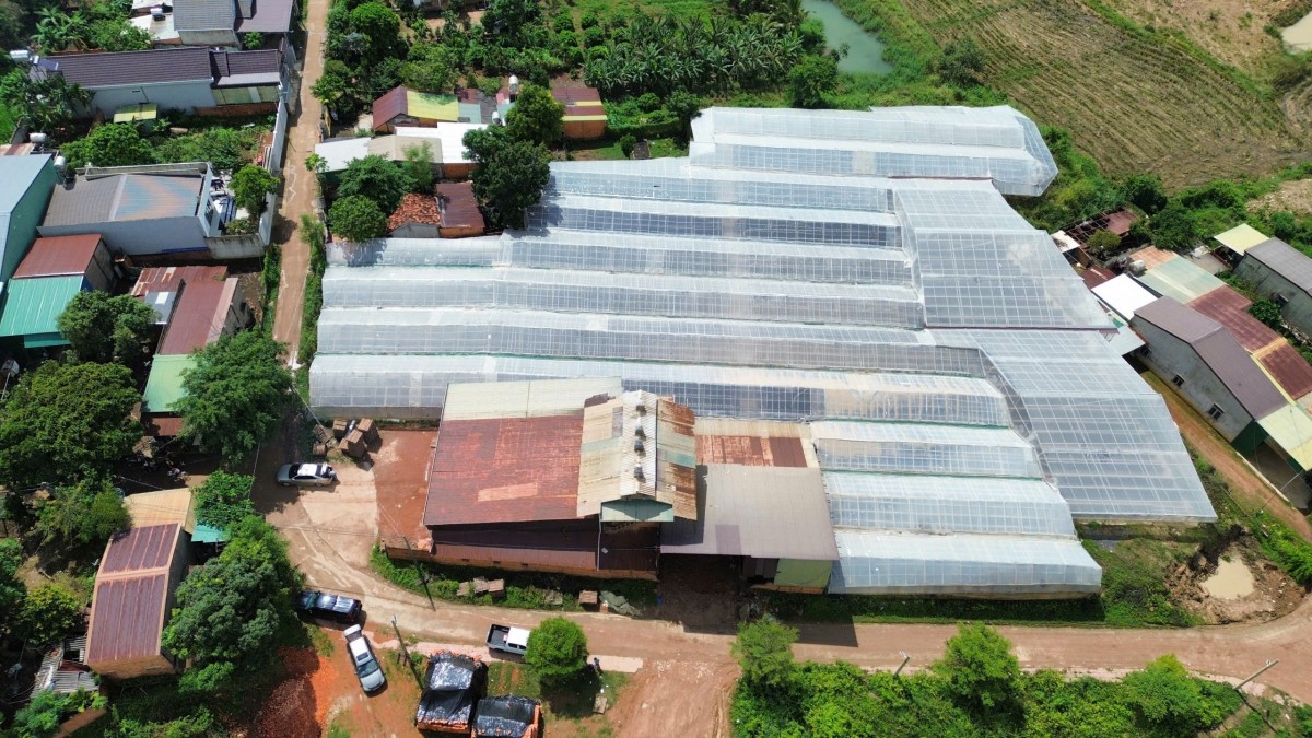 Đắk Lắk: Hàng trăm lao động lo lắng mất việc trước thông tin “xóa sổ” các lò gạch