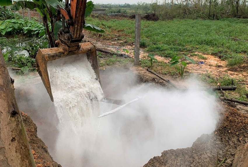 Hà Tĩnh: Tiêu hủy 145 con lợn nhiễm dịch tả lợn châu Phi