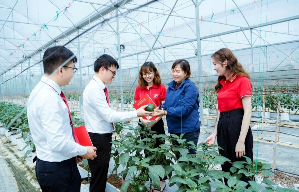 Agribank với trách nhiệm ESG toàn diện, từ “vốn xanh” đến an sinh cộng đồng