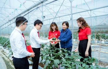 Agribank với trách nhiệm ESG toàn diện, từ “vốn xanh” đến an sinh cộng đồng