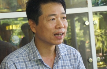 Hành trình phục hồi, phát triển cây sâm "tiến vua" núi Dành bằng công nghệ sinh học