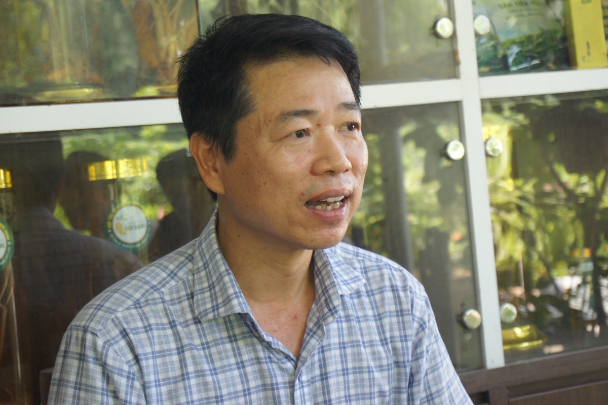 Hành trình phục hồi, phát triển cây sâm 