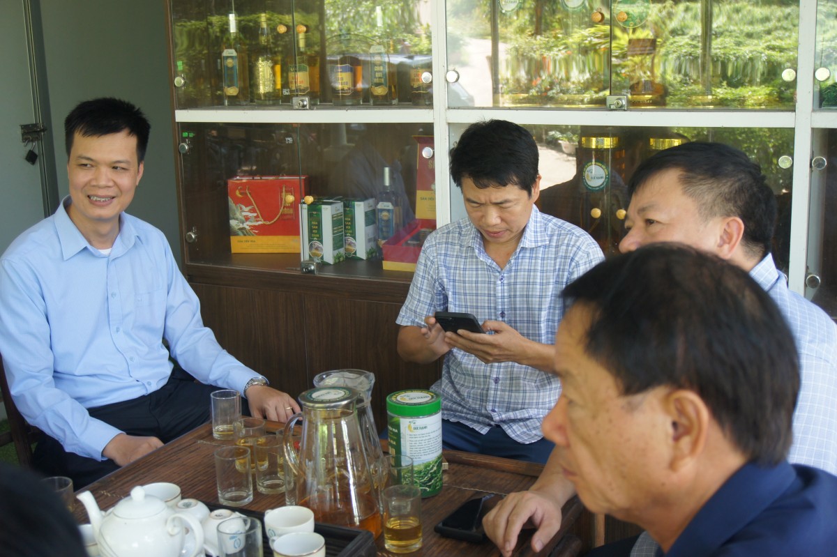 Hành trình phục hồi, phát triển cây sâm 