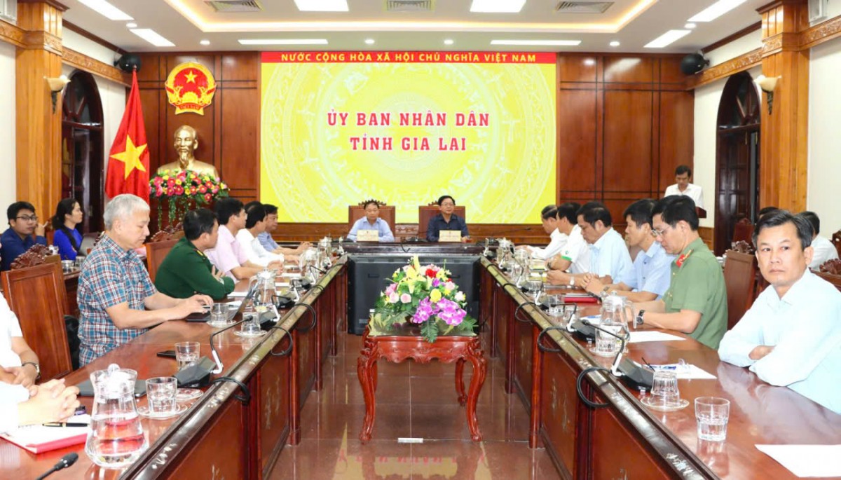 Phó Thủ tướng Hồ Quốc Dũng yêu cầu tỉnh Gia Lai khẩn trương khắc phục hậu quả bão số 13