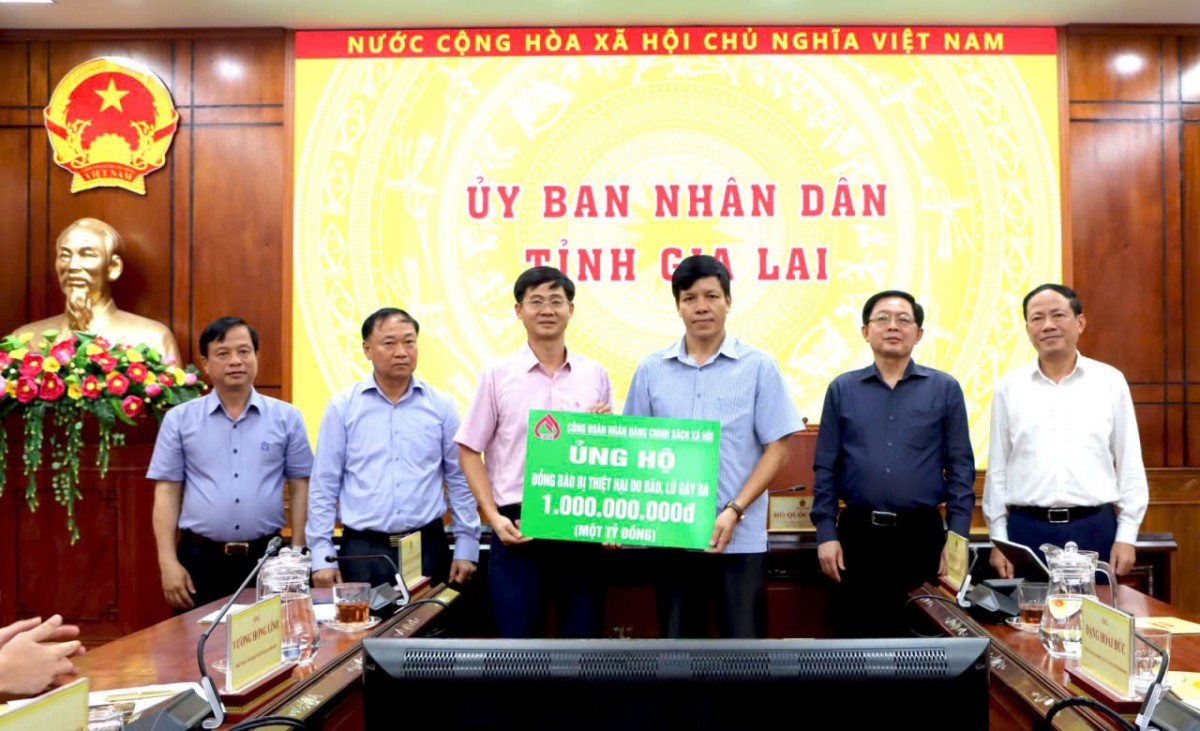 Phó Thủ tướng Hồ Quốc Dũng yêu cầu tỉnh Gia Lai khẩn trương khắc phục hậu quả bão số 13