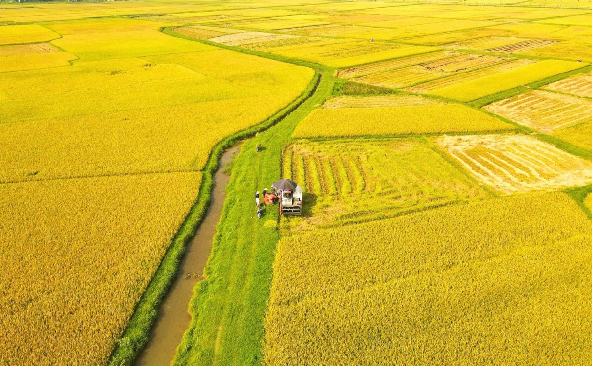 Đề xuất cơ chế mở đường hướng tới chuỗi giá trị nông nghiệp xanh