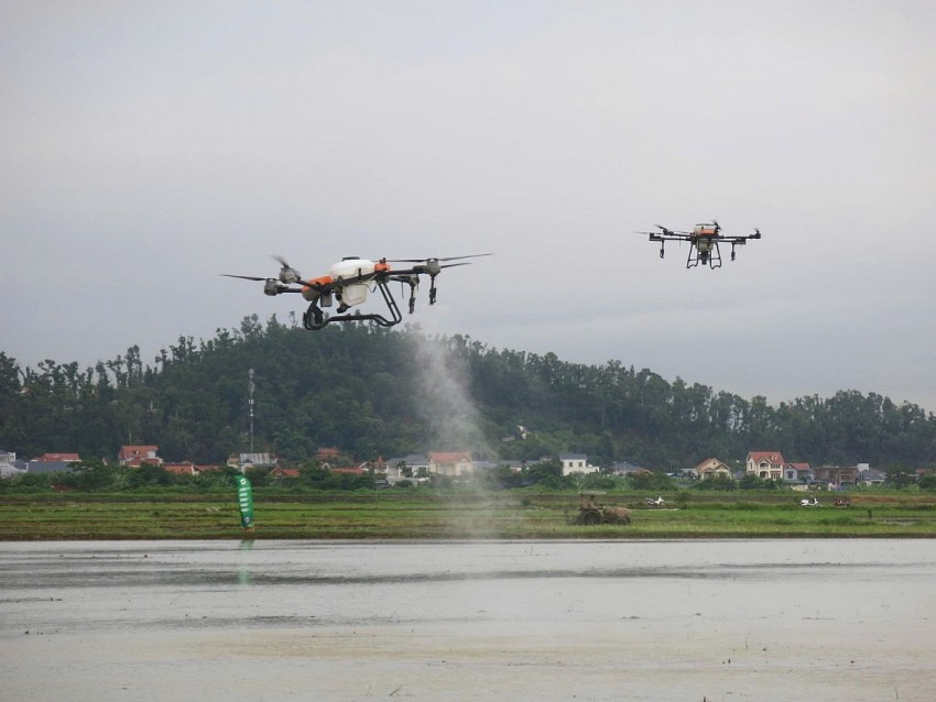 Phát triển nông nghiệp bền vững thông qua mô hình chiến lược 