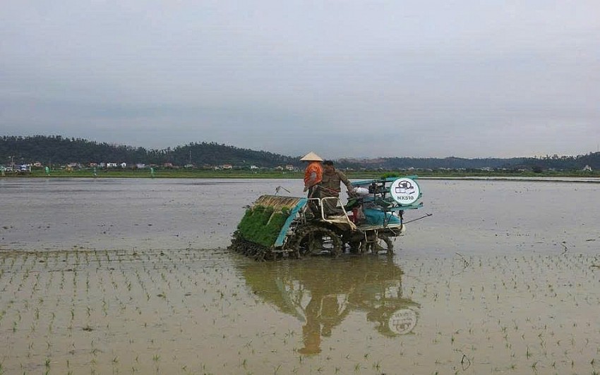 Phát triển nông nghiệp bền vững thông qua mô hình chiến lược 