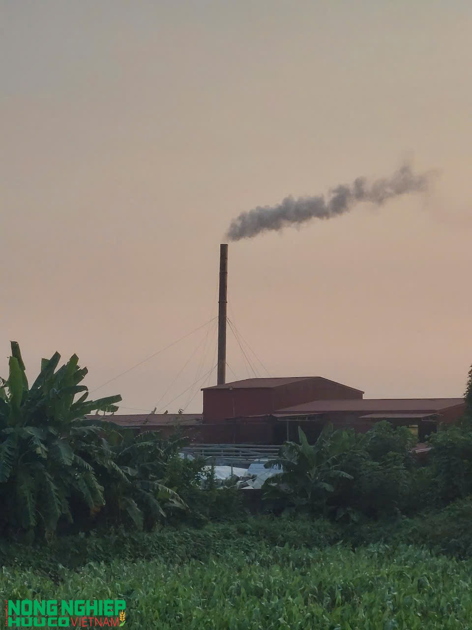 Hải Phòng thiết lập đường dây nóng tiếp nhận, xử lý thông tin về ô nhiễm môi trường