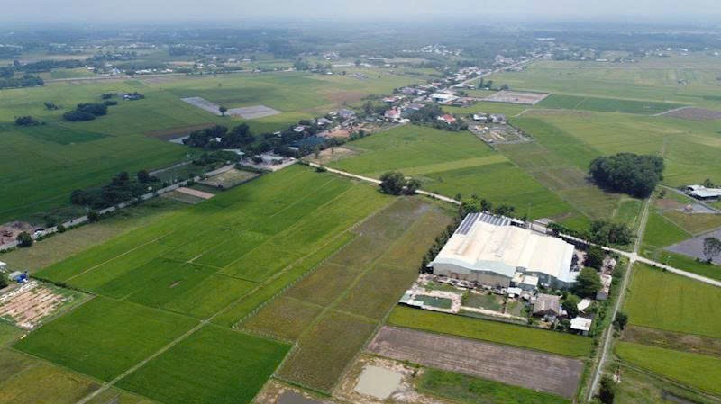 Lâm Đồng quy định diện tích, vị trí xây dựng công trình phục vụ sản xuất nông nghiệp trên đất trồng lúa