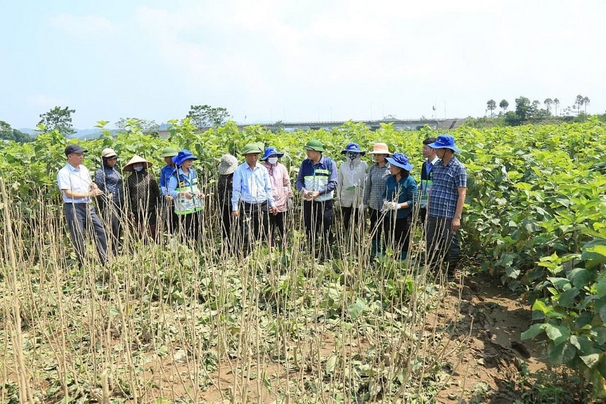 Lào Cai: Các địa phương tập trung khắc phục sản xuất nông nghiệp sau bão