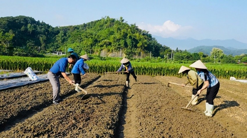 Lào Cai: Các địa phương tập trung khắc phục sản xuất nông nghiệp sau bão