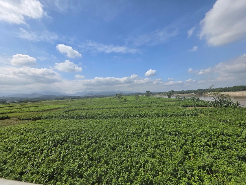 Lào Cai: Các địa phương tập trung khắc phục sản xuất nông nghiệp sau bão