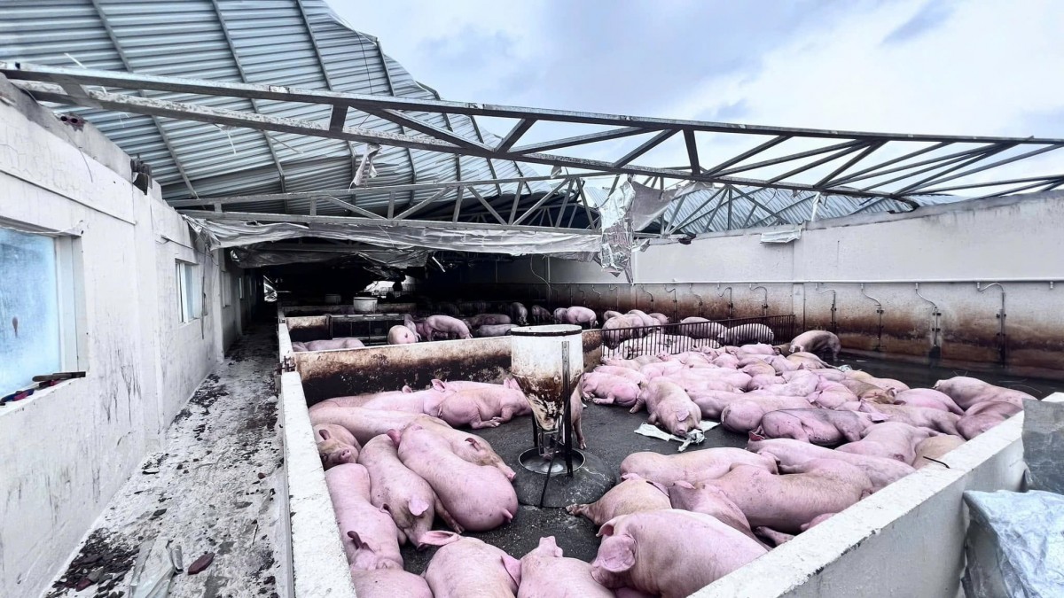 Đứng vững trước thiên tai, ngành nông nghiệp hướng tới xuất khẩu đạt 70 tỷ USD