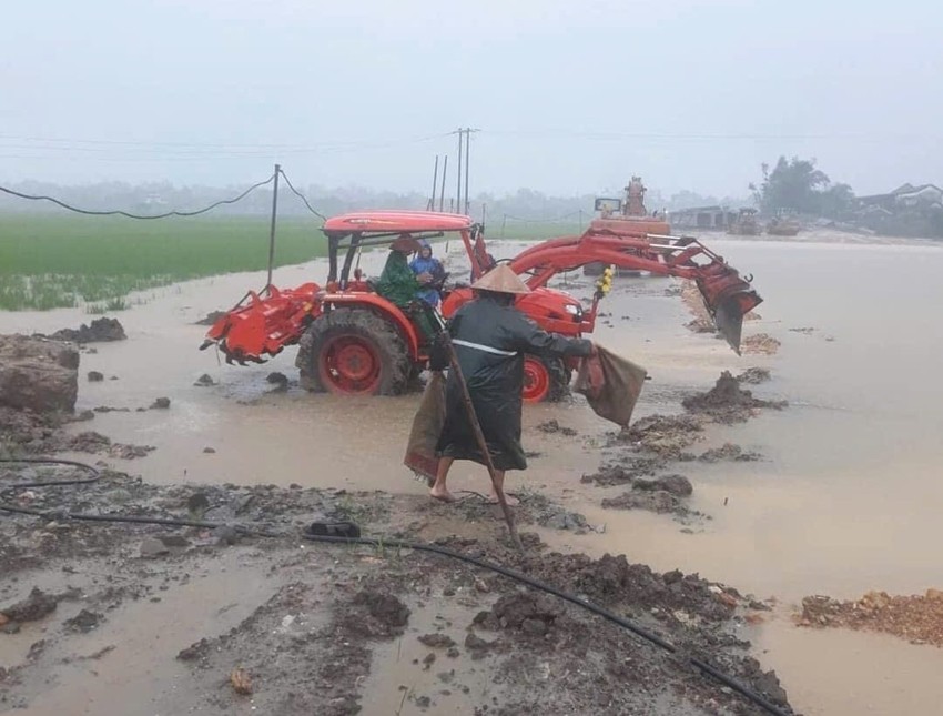 Huế: Cần quan tâm hỗ trợ tài chính, cây giống, vật nuôi để khôi phục sản xuất nông nghiệp