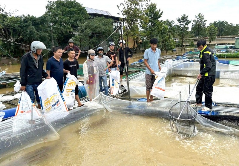 Huế: Cần quan tâm hỗ trợ tài chính, cây giống, vật nuôi để khôi phục sản xuất nông nghiệp