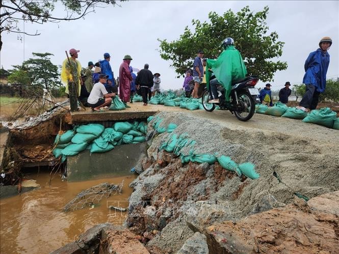 Huế: Cần quan tâm hỗ trợ tài chính, cây giống, vật nuôi để khôi phục sản xuất nông nghiệp