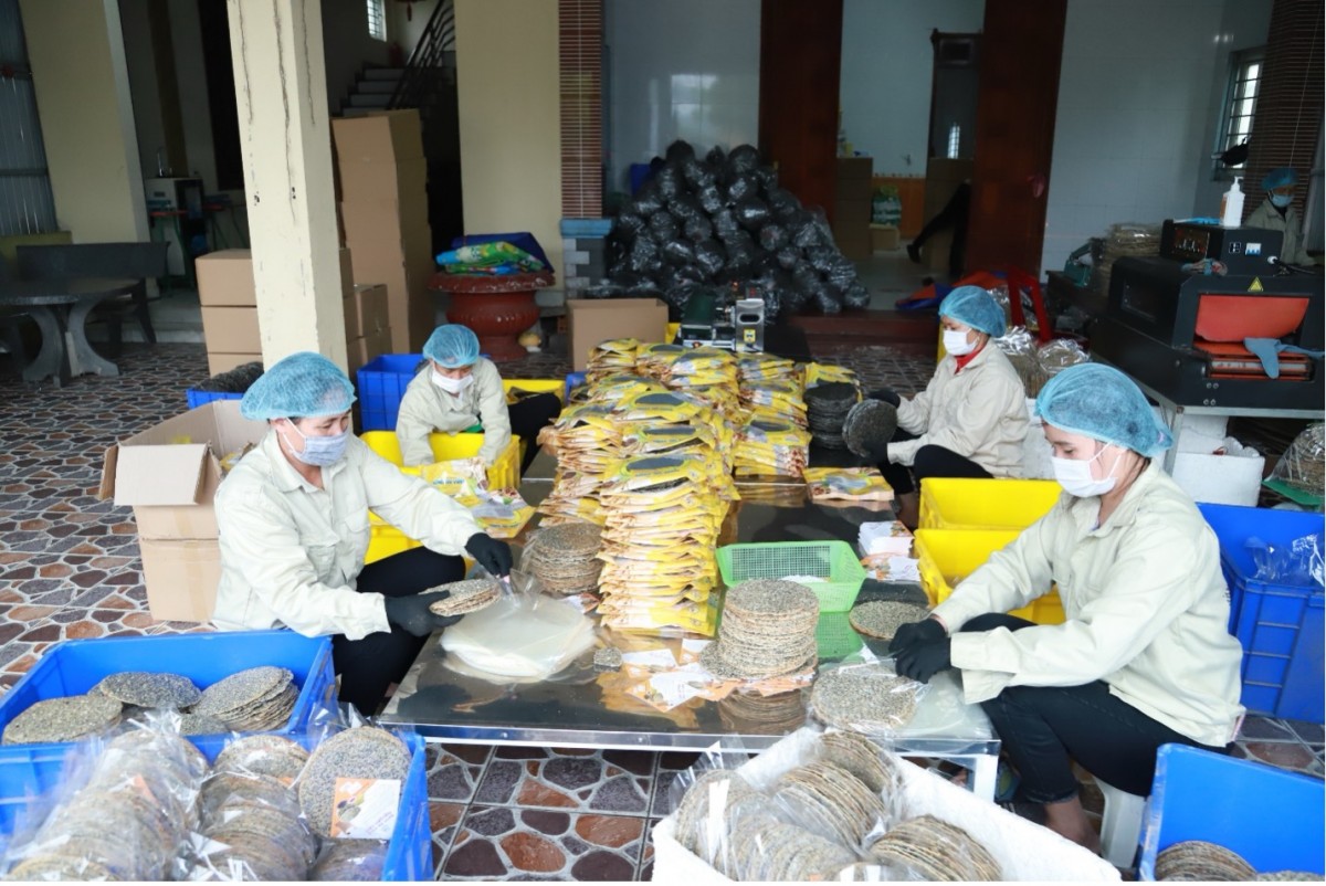 Hà Tĩnh phát triển chuỗi sản phẩm OCOP, tăng giá trị kinh tế nông nghiệp