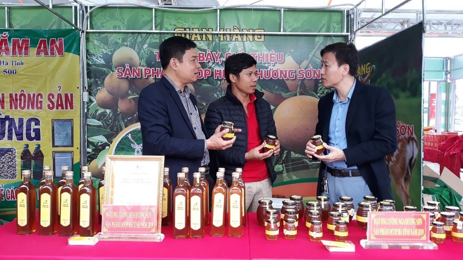 Hà Tĩnh phát triển chuỗi sản phẩm OCOP, tăng giá trị kinh tế nông nghiệp