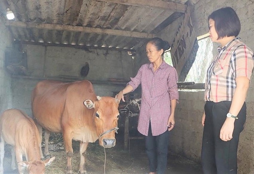 Hà Tĩnh đánh giá tình hình thực hiện các Chương trình mục tiêu quốc gia giai đoạn 2021-2025