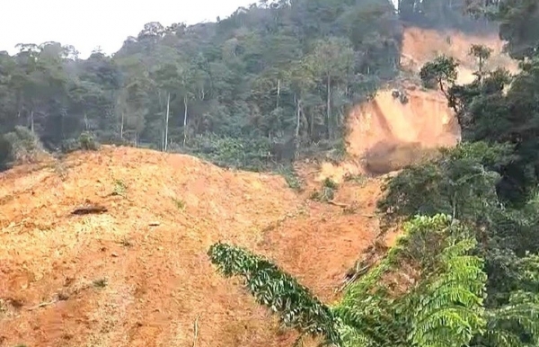 Đà Nẵng: Quả đồi bất ngờ đổ ập xuống cuốn theo nhiều diện tích nương rẫy và hoa màu của người dân