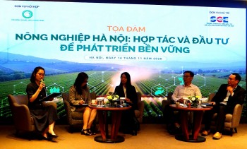 Phát triển nông nghiệp Hà Nội cần chiến lược đồng bộ và dài hạn