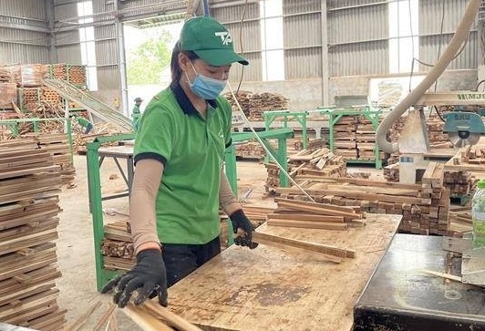 Tăng cường hỗ trợ thúc đẩy sản xuất, xuất khẩu và kiểm tra hồ sơ lâm sản