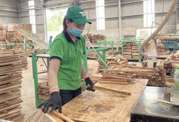 Tăng cường hỗ trợ thúc đẩy sản xuất, xuất khẩu và kiểm tra hồ sơ lâm sản