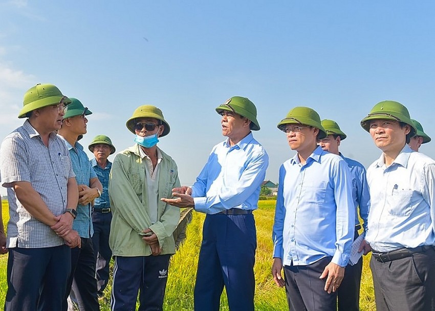 Tích tụ ruộng đất – Hướng đi mới của nông nghiệp hiện đại