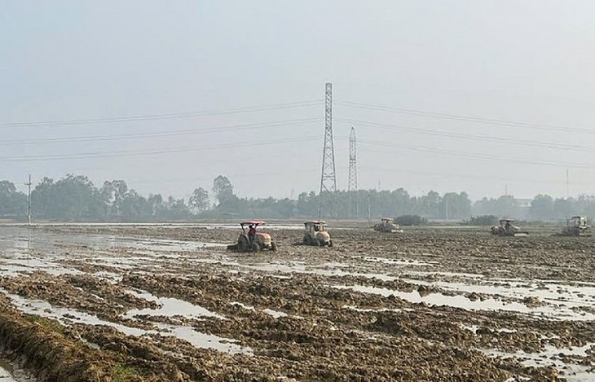 Tích tụ ruộng đất – Hướng đi mới của nông nghiệp hiện đại