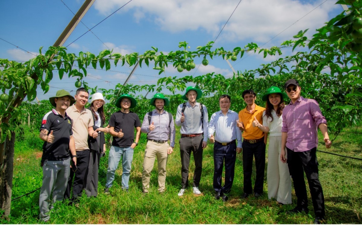 Nâng cao năng lực tiêu chuẩn và quản lý chất lượng vùng trồng chanh dây Cư M’gar