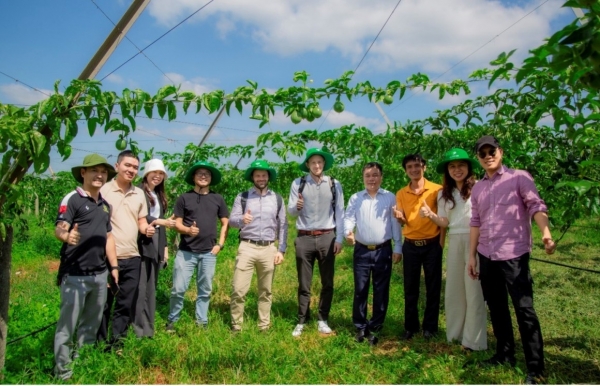 Nâng cao năng lực tiêu chuẩn và quản lý chất lượng vùng trồng chanh dây Cư M’gar