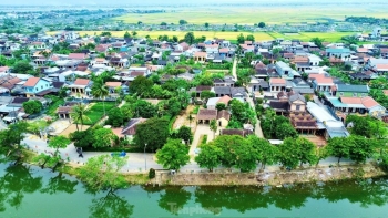 Huế: Thông báo đấu giá thuê đất nông nghiệp, sử dụng mục đích công ích 2025