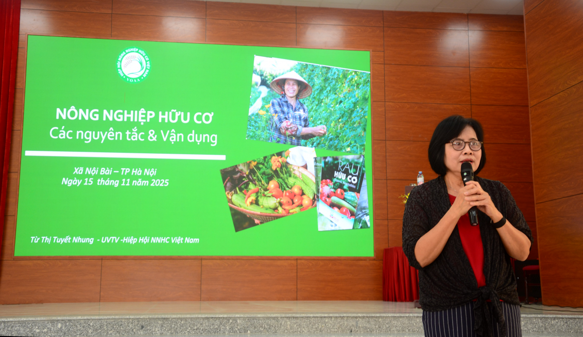 Hà Nội: Xã Nội Bài tổ chức tập huấn kỹ thuật sản xuất rau hữu cơ