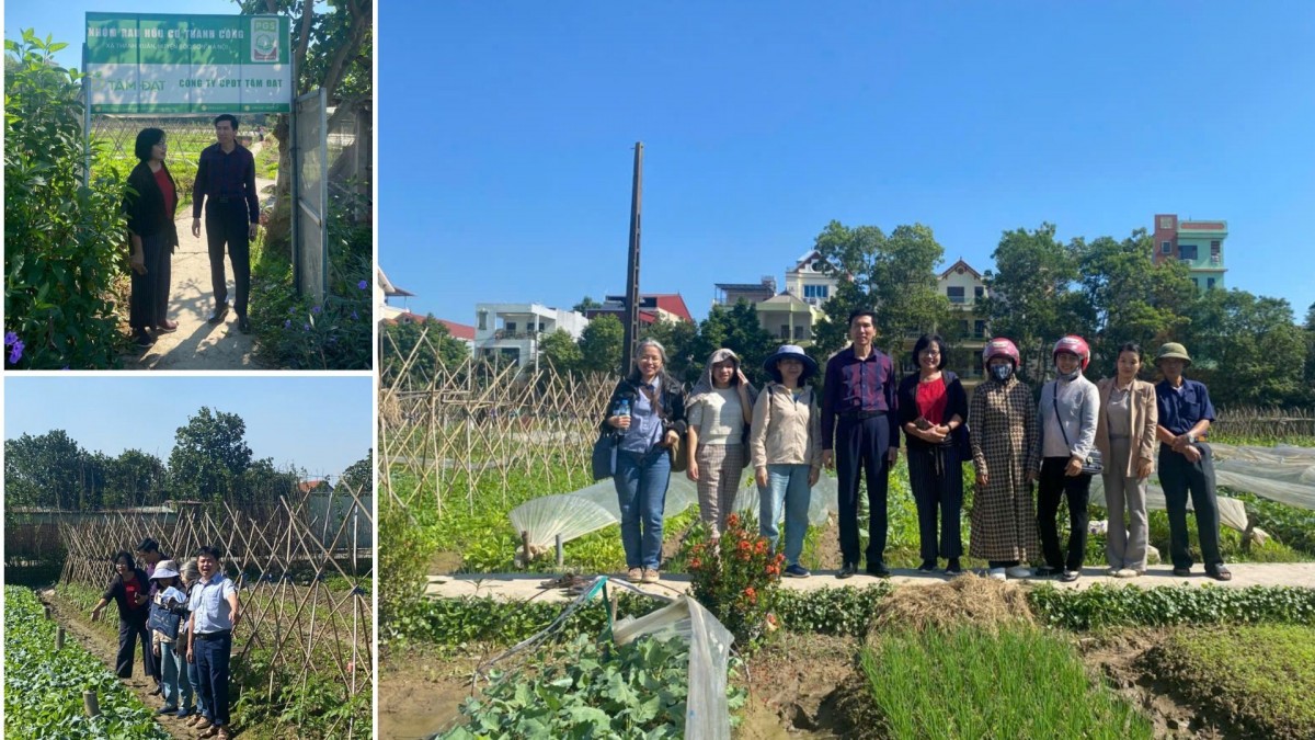 Hà Nội: Xã Nội Bài tổ chức tập huấn kỹ thuật sản xuất rau hữu cơ