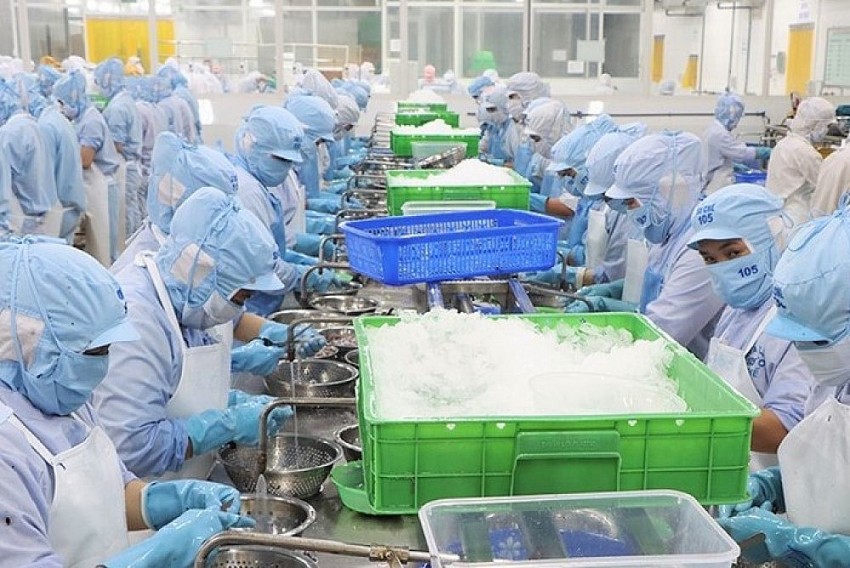 Công ty Cổ phần XNK Thủy Sản Nam Hà Tĩnh tuyển dụng 400 lao động dịp cuối năm