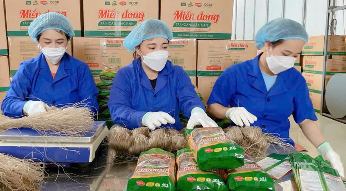 Từ sản vật vùng cao đến biểu tượng OCOP vươn ra thế giới