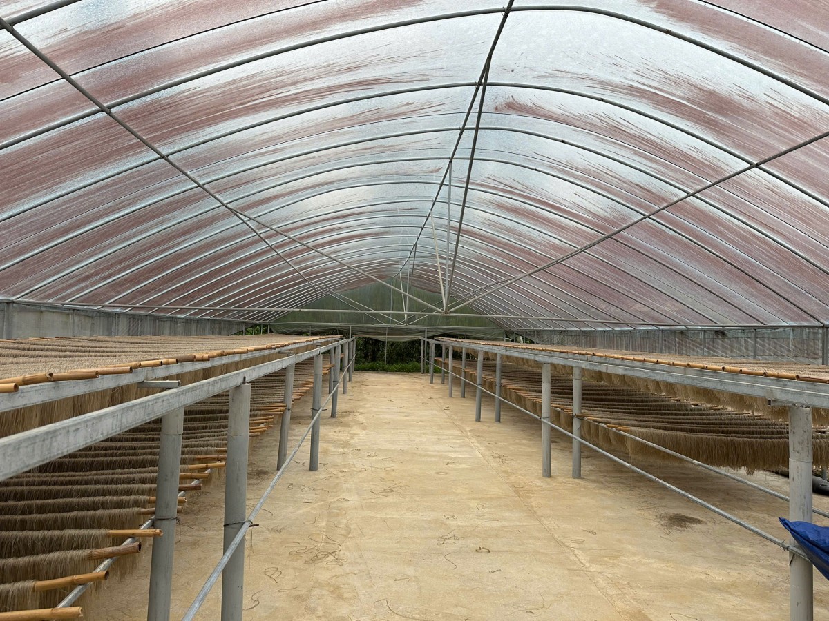 Từ sản vật vùng cao đến biểu tượng OCOP vươn ra thế giới