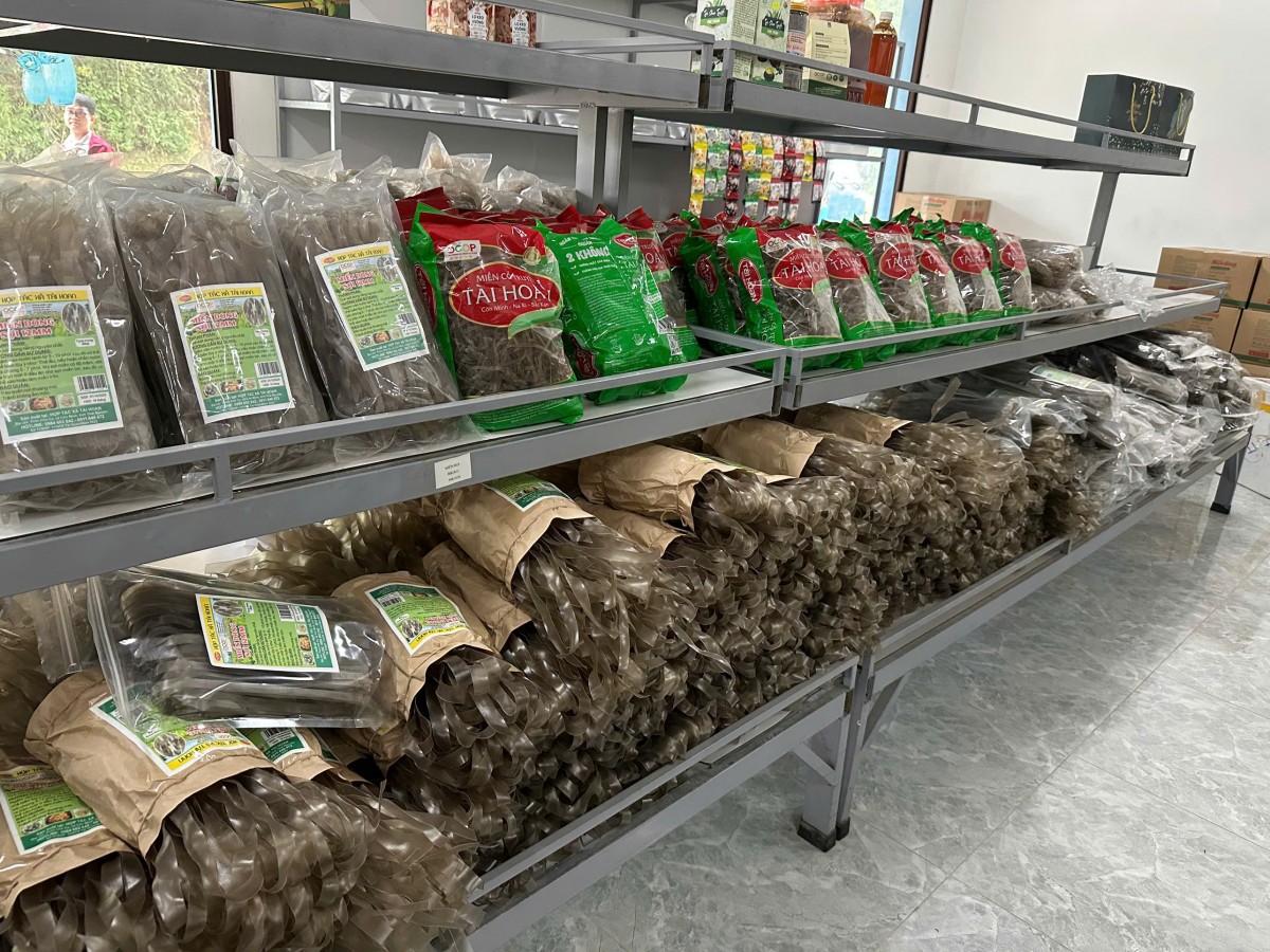 Từ sản vật vùng cao đến biểu tượng OCOP vươn ra thế giới