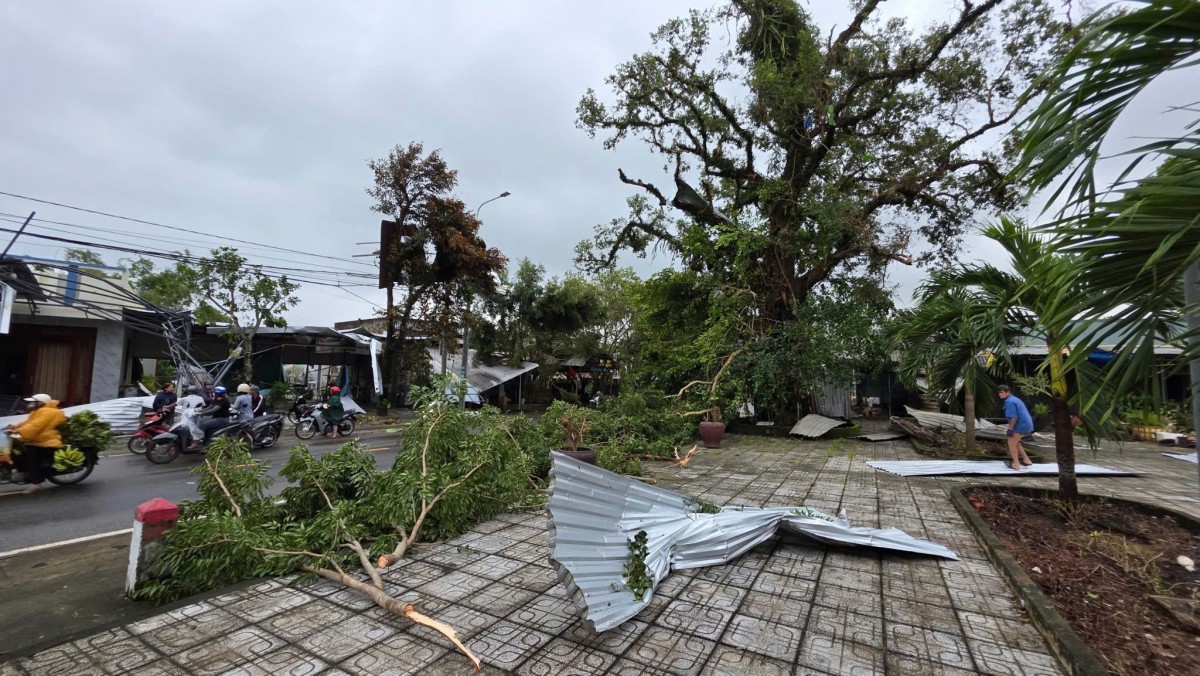 Cây cối ngã đổ trên quốc lộ 40B.