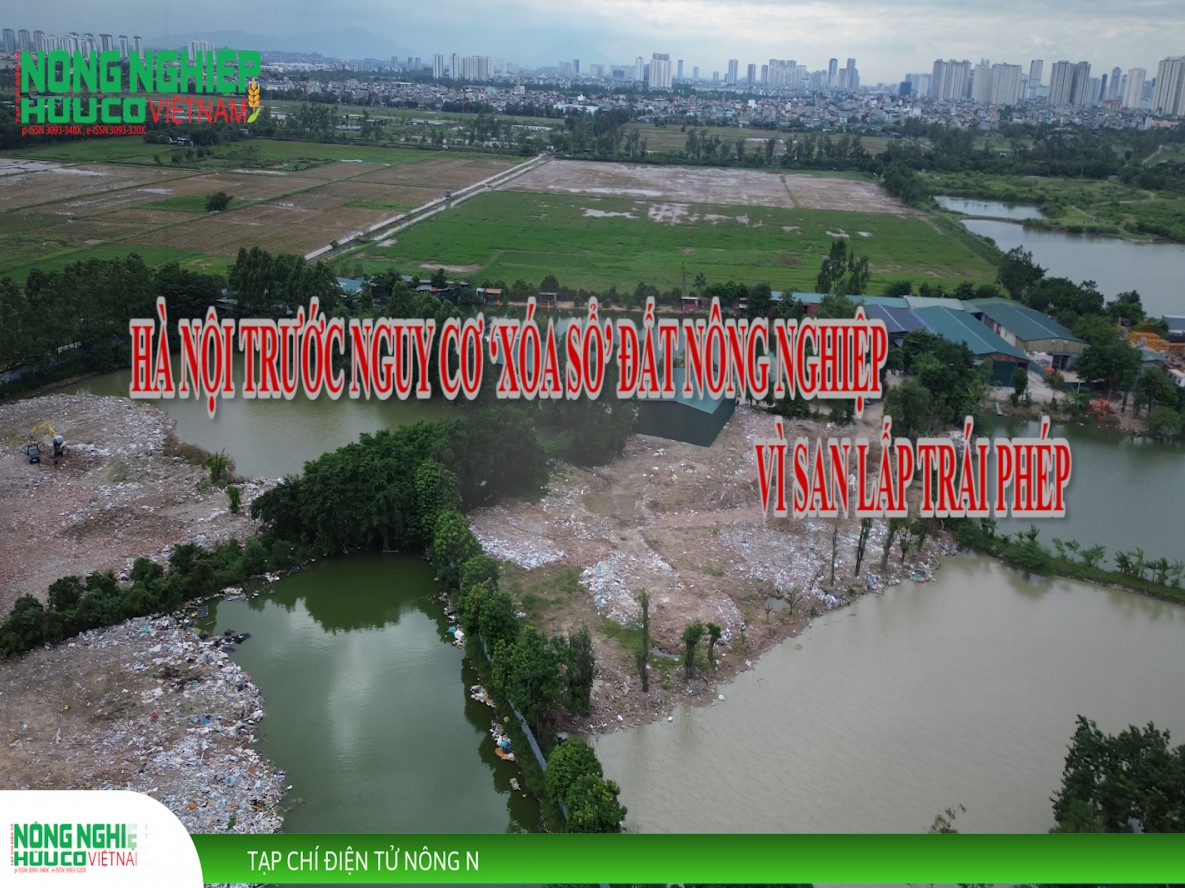 Nguy cơ mất đất nông nghiệp: Lỗ hổng quản lý hay thách thức pháp luật?