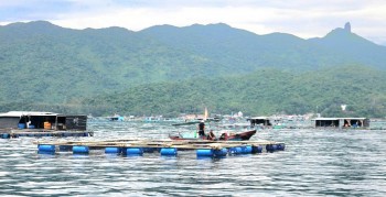 Đắk Lắk: Tăng cường công tác quản lý nuôi trồng thủy sản trên địa bàn