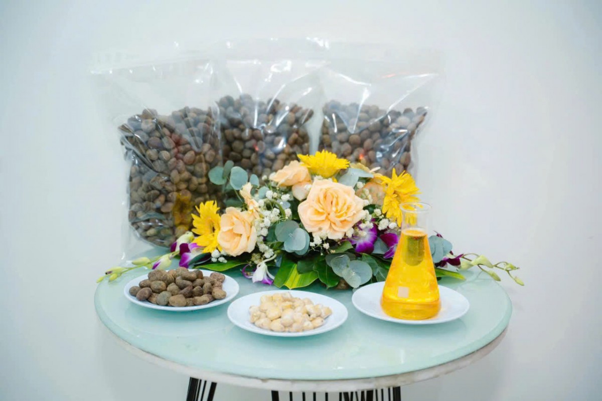 Sepon Group xuất khẩu lô hàng 60 tấn hạt trẩu đầu tiên sang thị trường Ấn Độ