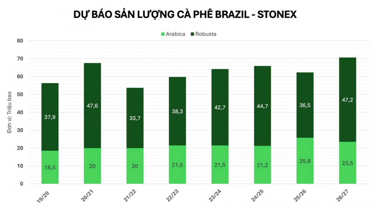 Dự báo sản lượng cà phê Brazil (Nguồn: StoneX)