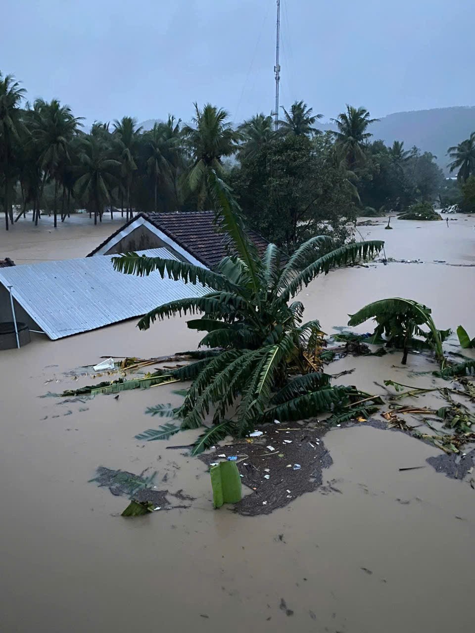 Phó Thủ tướng Chính phủ Hồ Quốc Dũng kiểm tra công tác phòng chống mưa, lũ tại Đắk Lắk