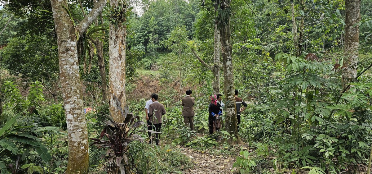 Bảo vệ rừng - Sinh kế bền vững cho đồng bào dân tộc tỉnh Thái Nguyên