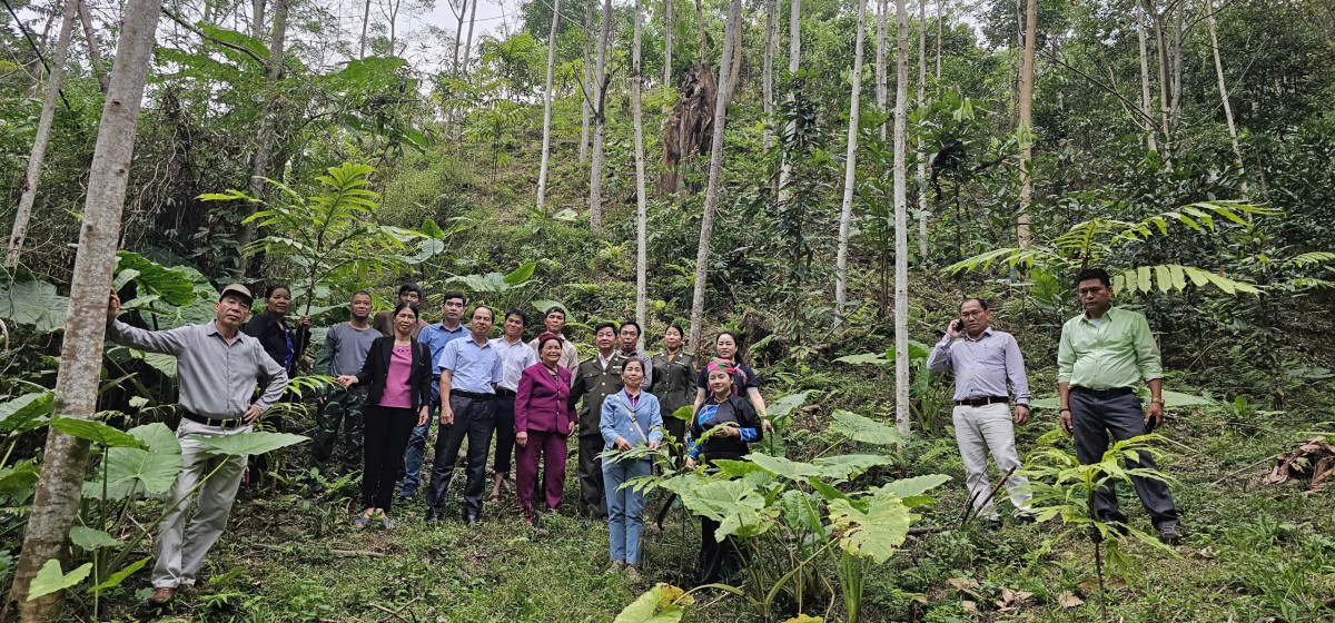 Thái Nguyên củng cố hệ thống kiểm lâm sau sáp nhập: Hướng tới nền lâm nghiệp hiện đại và bền vững