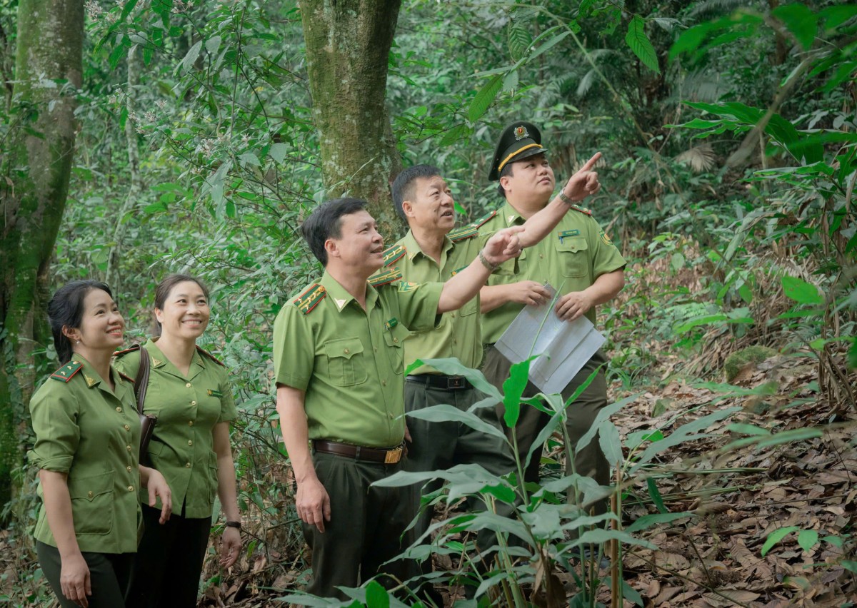 Thái Nguyên củng cố hệ thống kiểm lâm sau sáp nhập: Hướng tới nền lâm nghiệp hiện đại và bền vững