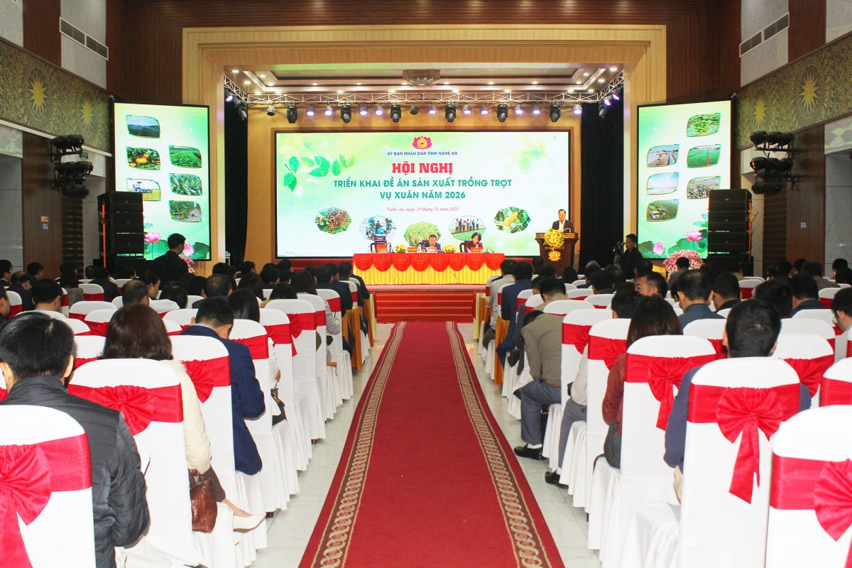 Vụ Xuân 2026, Nghệ An phấn đấu đạt hơn 700.000 tấn lương thực