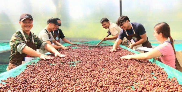 Khai giảng khóa học “Chế biến cà phê nhân chất lượng cao” niên vụ 2025-2026